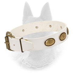 Noble White Belgian Malinois Leather Collar