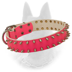 Unmatchable Belgian Malinois Collar with Firm Fittings