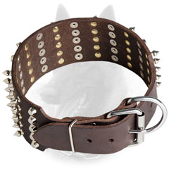 Leather Belgian Malinois Collar Studs and Spikes