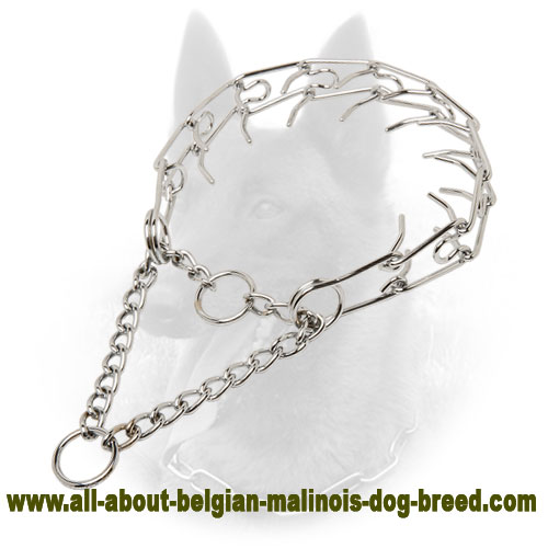 Calm Down Effect Belgian Malinois Pinch 【Collar】 of Chrome Plated Steel 1/8 inch (3.2 mm