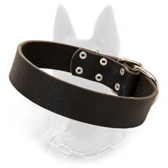 Belgian Malinois Leather Dog Collar For Different  Activities