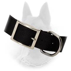 Belgian Malinois 2 Ply Nylon Collar With Easy Fixed Nickel Plated Buckle And D-ring