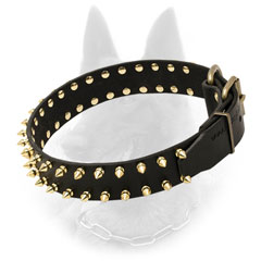 Stylish Belgian Malinois Collar of Leather