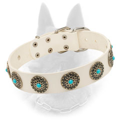Stylish Belgian Malinois Leather Collar with Blue Stone Decoration