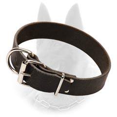 Walking and Training B.Malinois Leather Dog Collar