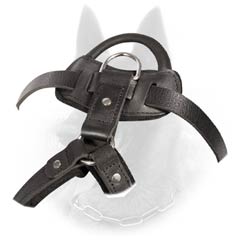 Improved Leather Belgian Malinois Training Harness With Quick Release Buckle
