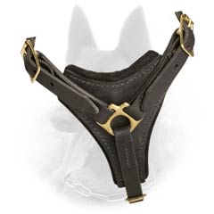 Belgian Malinois Dog Harness Of Ultra Top Quality Materials