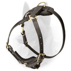 Belgian Malinois Dog Harness To Train for Your Protection