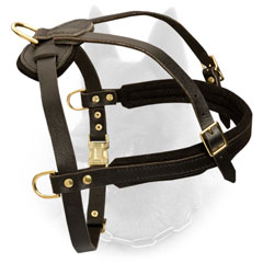 Adjustable Leather Dog Harness for Belgian Malinois Training and Pulling