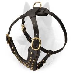 Designer Studded Leather Belgian Malinois Harness with Brass Fittings