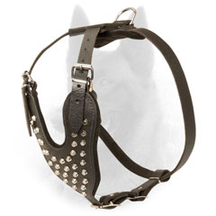 Stylish Leather Belgian Malinois Harness with Nickel Cones on Chest Plate
