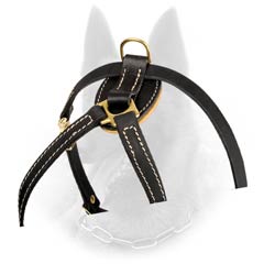Brass D-Ring on Back Plate of Leather Belgian Malinois Harness for Lead Attachment