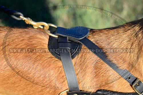 Brass D-Ring on Back Pad of Leather Dog Harness for Leash Attachment