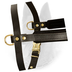 Reliable Side Brass D-Rings of Padded Leather Dog Harness for Weight Attachment