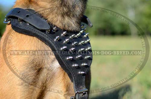 Y-Shaped Chest Plate of Leather Dog Harness Decorated with Nickel Spikes