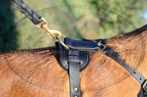 Durable Brass D-Ring on Padded Leather Dog Harness for Quick Leash Attachment