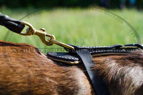 Solid Brass D-Ring of Padded Leather Dog Harness for Leash Attachment