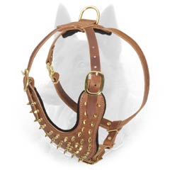 Stylish Spiked Leather Dog Harness with Golden Brass Hardware