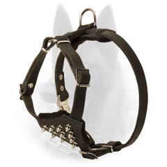 Padded Leather Malinois Puppy Harness with Shiny Nickel Plated Spikes