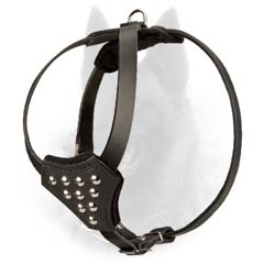 Safe and Easy Adjustable Belgian Malinois Harness