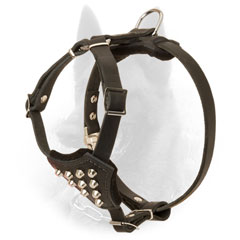 Firm Belgian Malinois Harness of Leather with Stud Decoration