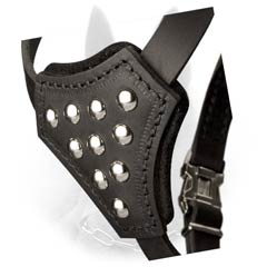 Strong Belgian Malinois Harness of Leather with Unique Decoration