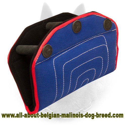 Belgian Malinois Bite "Provoker" for Young Dogs and Puppies Training