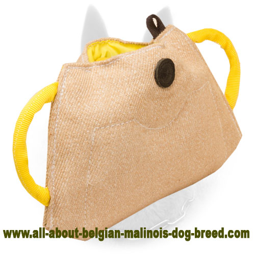 New 2017 Puppy and Young Belgian Malinois Bite Builder of Jute