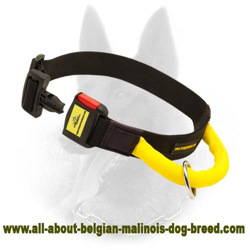 Belgian Malinios Nylon Collar With Handle And Quick Release Buckle