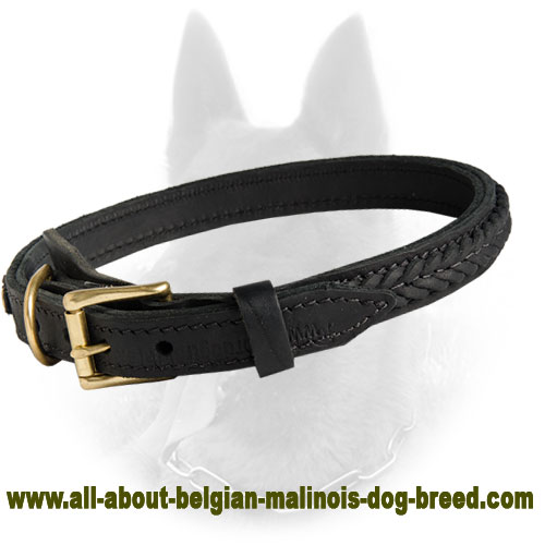 Belgian Malinois Braided 2 Ply Leather Dog Collar