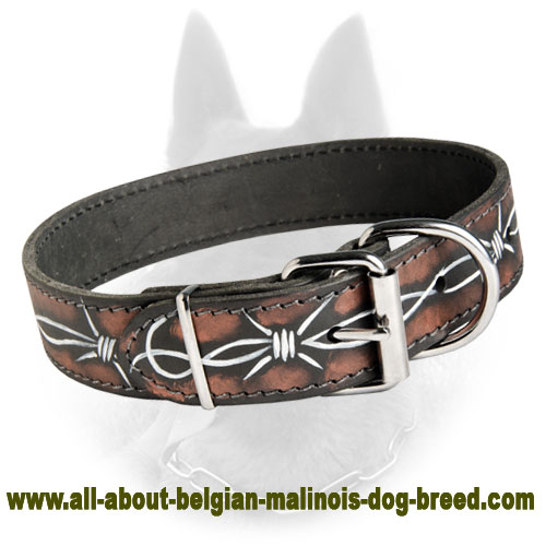 Barbed Wire Leather Dog Collar For Belgian Malinois