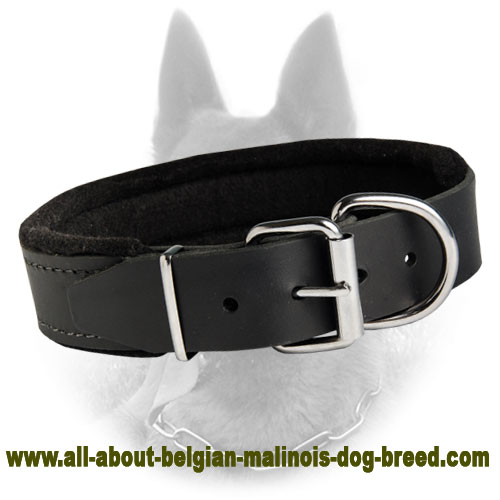 Leather Dog Collar Padded With Thick Felt