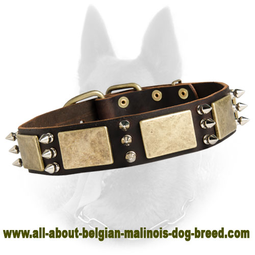 Leather Dog Collar With Brass Plates And Nickel Spikes