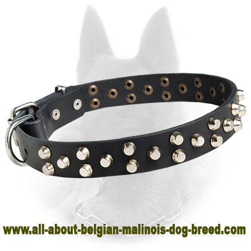 Studded Leather Dog Collar With 3 Rows Of Small Pyramids