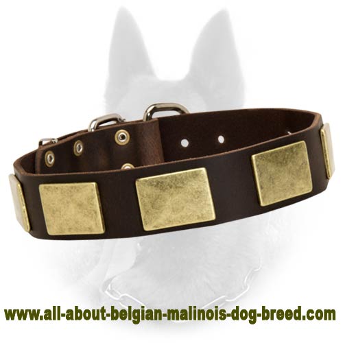 Handcrafted Leather Dog Collar With Vintage Massive Plates