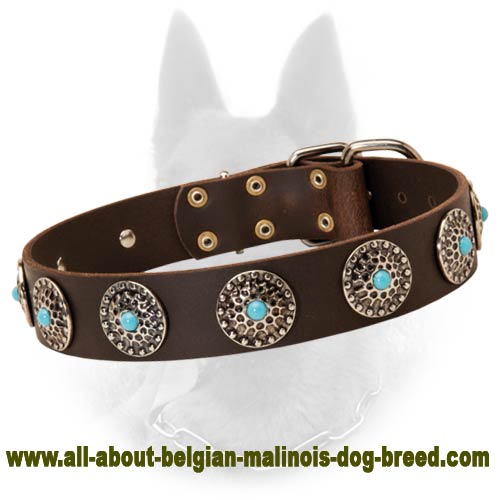 Fascinating Leather Dog Collar With Circles And Blue Stones