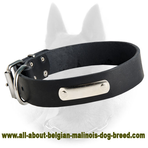 Belgian Malinois Leather Dog Collar with ID Tag