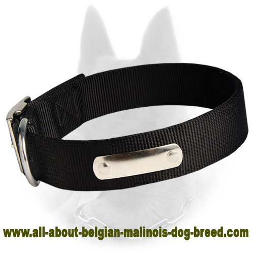 2 Ply Nylon Dog Collar With Name Tag For Belgian Malinois
