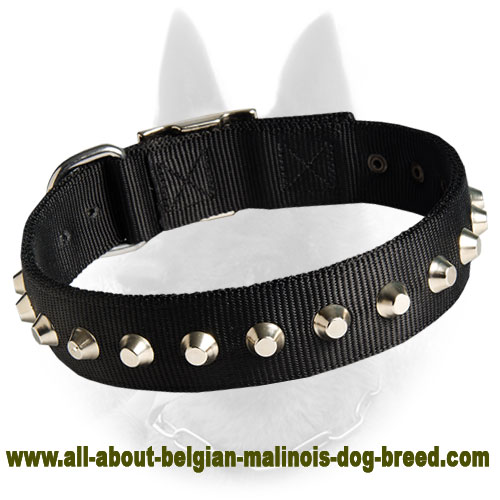 Belgian Malinois Nylon Dog Collar with Nickle Pyramids - Click Image to Close