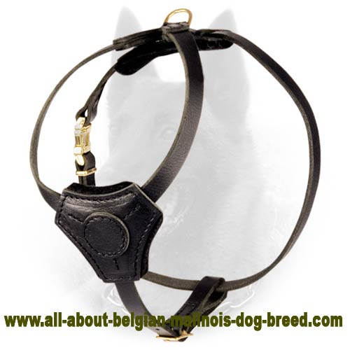 Leather Dog Harness for Belgian Malinois Puppies