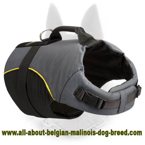Weather Proof Nylon Belgian Malinois Vest with Handle for Recovery Period
