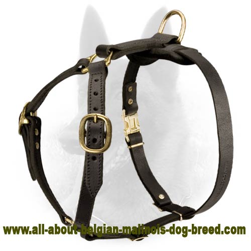 Leather Belgian Malinois Harness for Walking, Training and Tracking