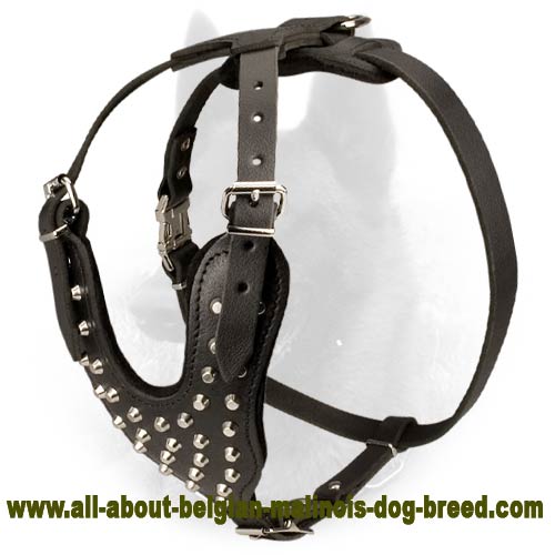 Decorated Leather Belgian Malinois Harness for Everyday Walking
