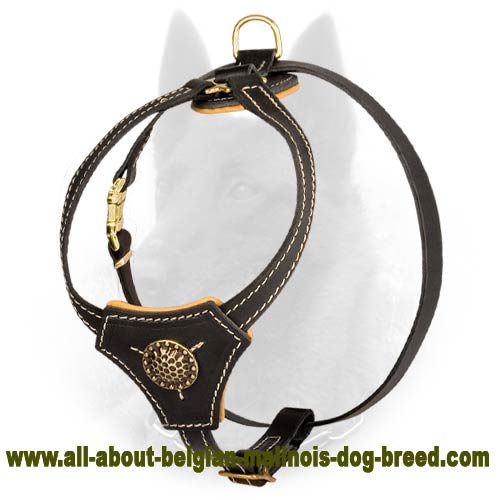 Royal Leather Belgian Malinois Harness for Puppy Training and Walking