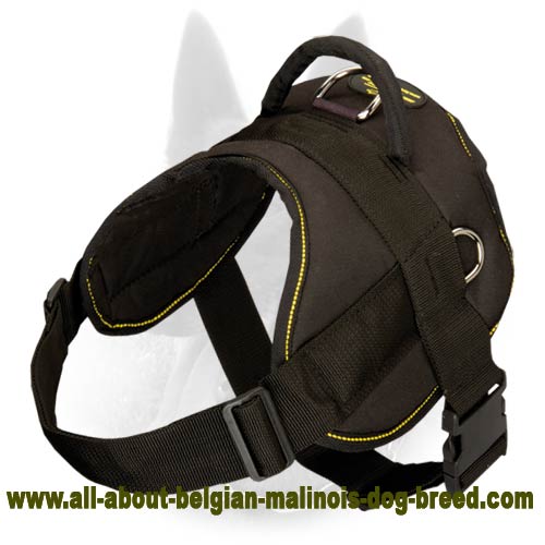 Adjustable Nylon Belgian Malinois Harness for Pulling, Walking and Training