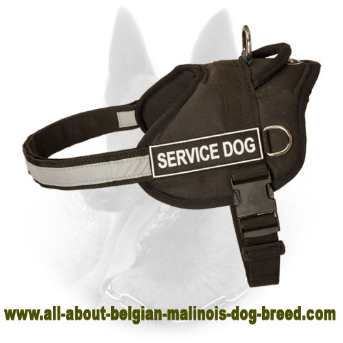 Nylon Belgian Malinois 【Harness】 with Reflective Strap for