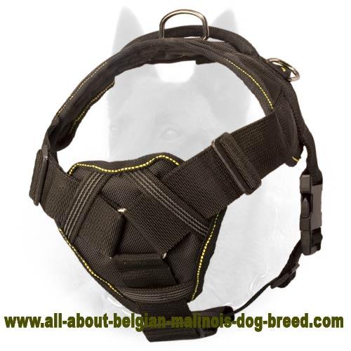 Weather Proof Nylon Belgian Malinois Harness for Tracking and Pulling