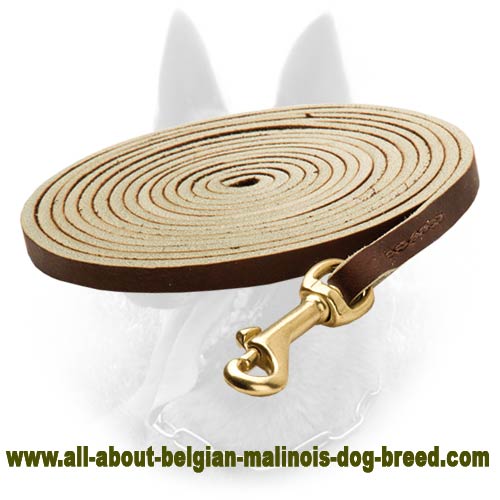 Quality Leather Belgian Malinois Leash for Tracking - Click Image to Close