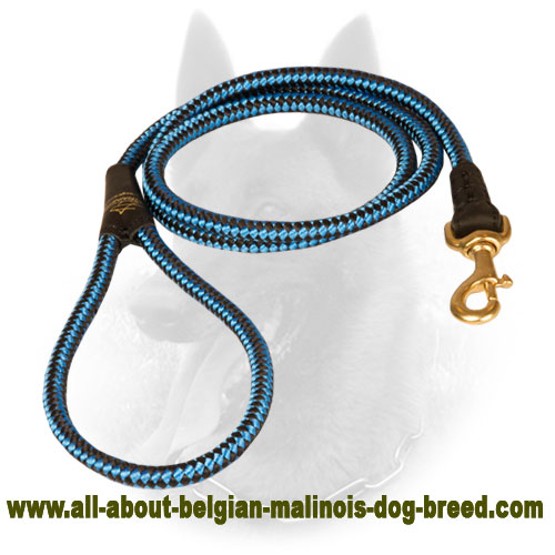 Lightweight Belgian Malinois Nylon Leash for Easy Handling