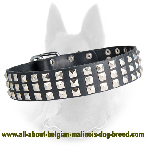Belgian Malinois Studded Leather Dog Collar with 3 Rows of Nickel Pyramids - Click Image to Close